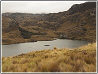 Parque Cajas