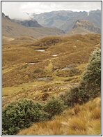 Parque Cajas