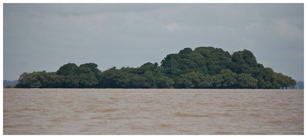 Lake Tana Island