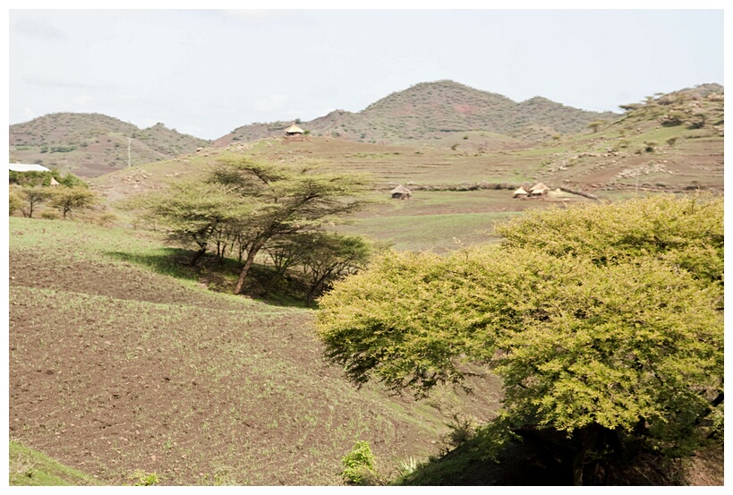 Lalibela Landscape