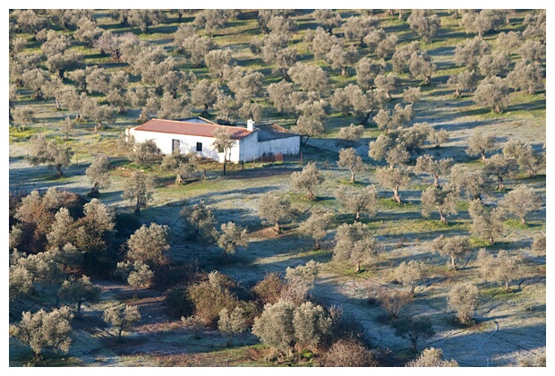 Casero Rural