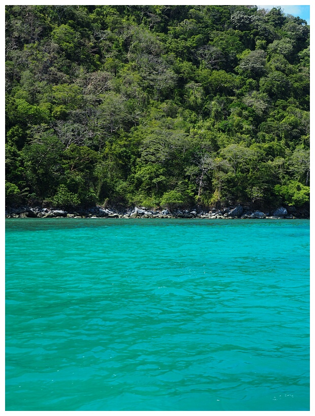 Turquoise Waters