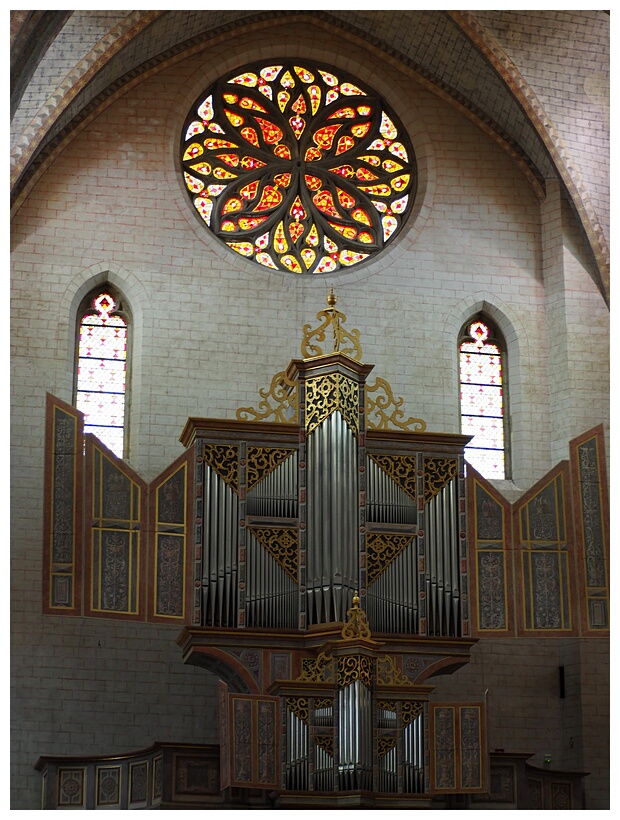 Organ