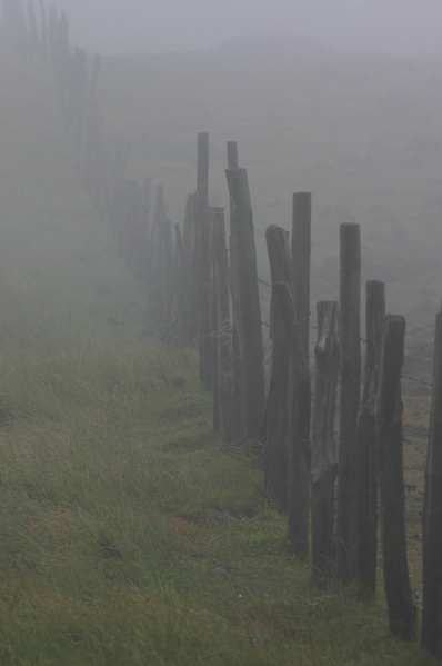 Post with Fog