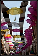 Paraguas Ornamentales