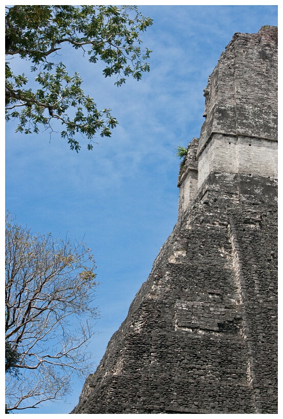 Templo de Tikal