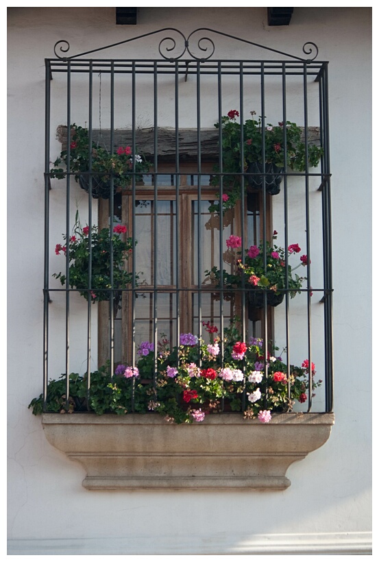 Ventana Colonial