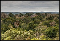 La Selva de Tikal