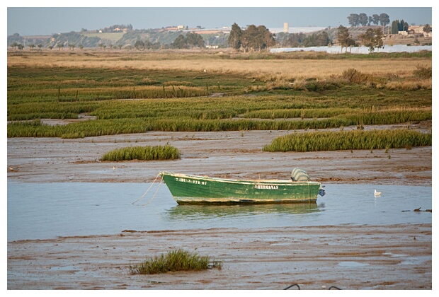 Marea Baja