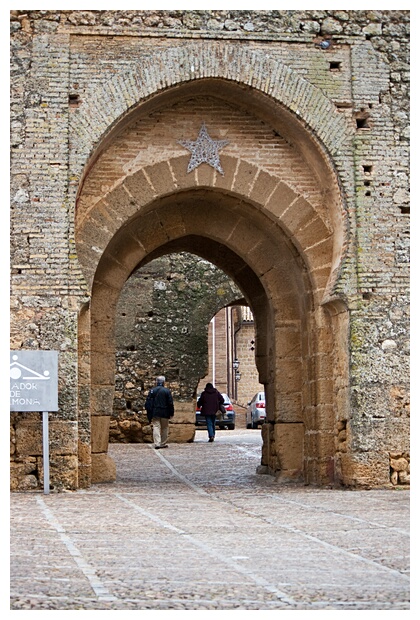 Alczar del Rey Don Pedro