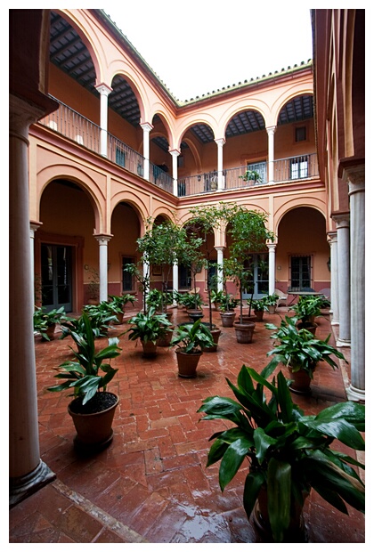 Patio Andaluz