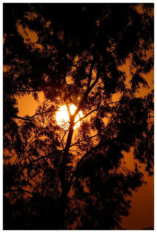Jodhpur sunset