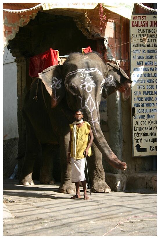 Udaipur street