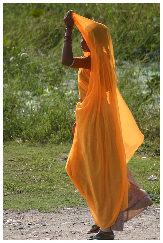 Woman (Udaipur)