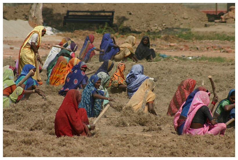 Woman Working