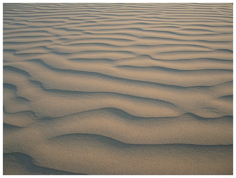 Sand waves
