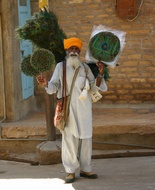 Peacock feathers seller