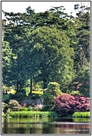 Mount Stewart House Garden
