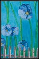 Blue Poppies Mural