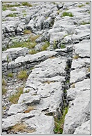Limestone Pavement