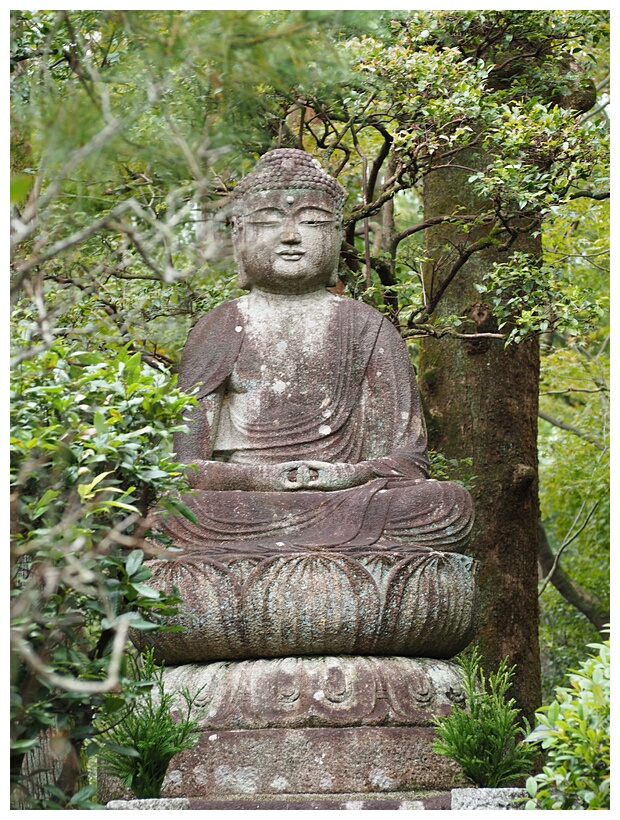 Buddha Image