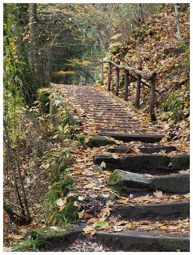 Nakasendo Trail