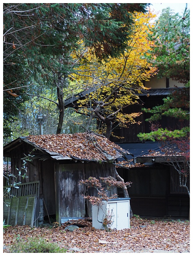 Nakasendo Road