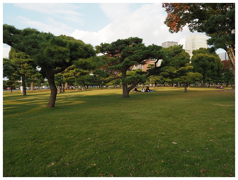 Kokyo Gaien National Gardens