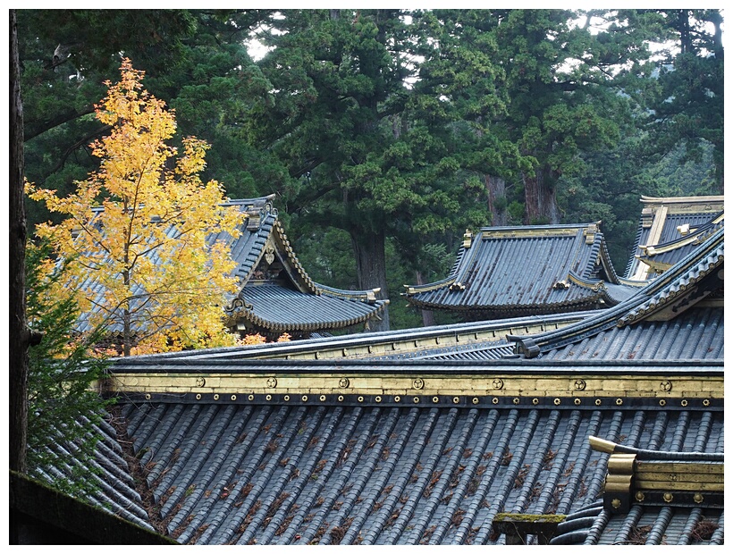 Toshogu Roofs