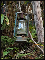 Old Lamp