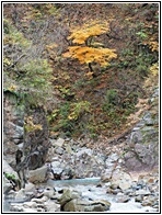 Yokoyu River