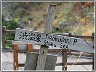 Jigokudani Monkey Park