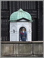 Imperial Palace Guard