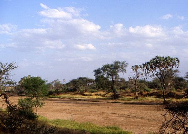 Samburu River
