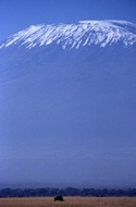 Kilimanjaro View