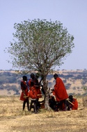 Masai People