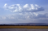 Nakuru Landscape