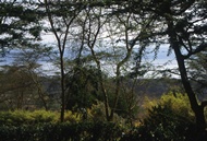 Nakuru View