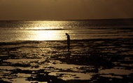 Zanzibar Dawn