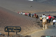 Paseo en Camello