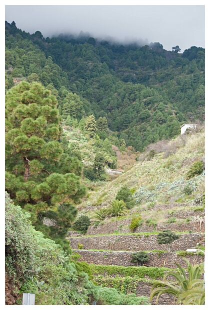 Santuario de la Virgen de las Nieves