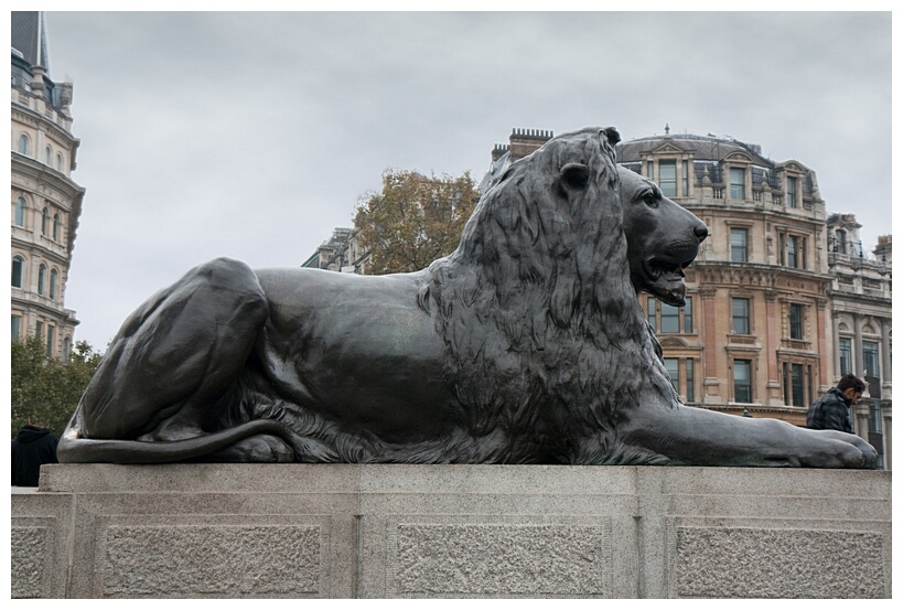 Bronze Lion