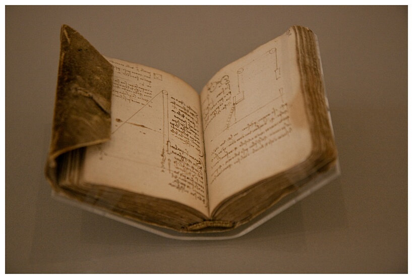 The Forster Codex