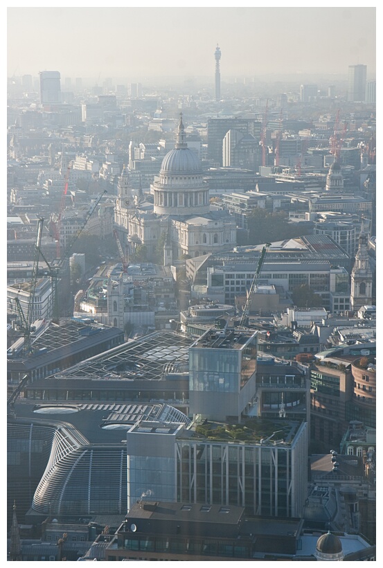 Sky Garden View