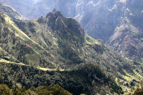 Picos del Interior de Madeira
