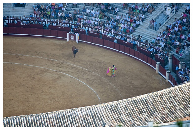 En Plena Faena