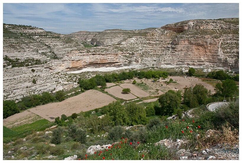 Vega del Jcar