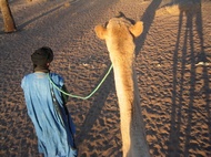 Camel & Touareg