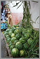 Watermelon Seller