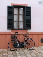 Window with bicycle